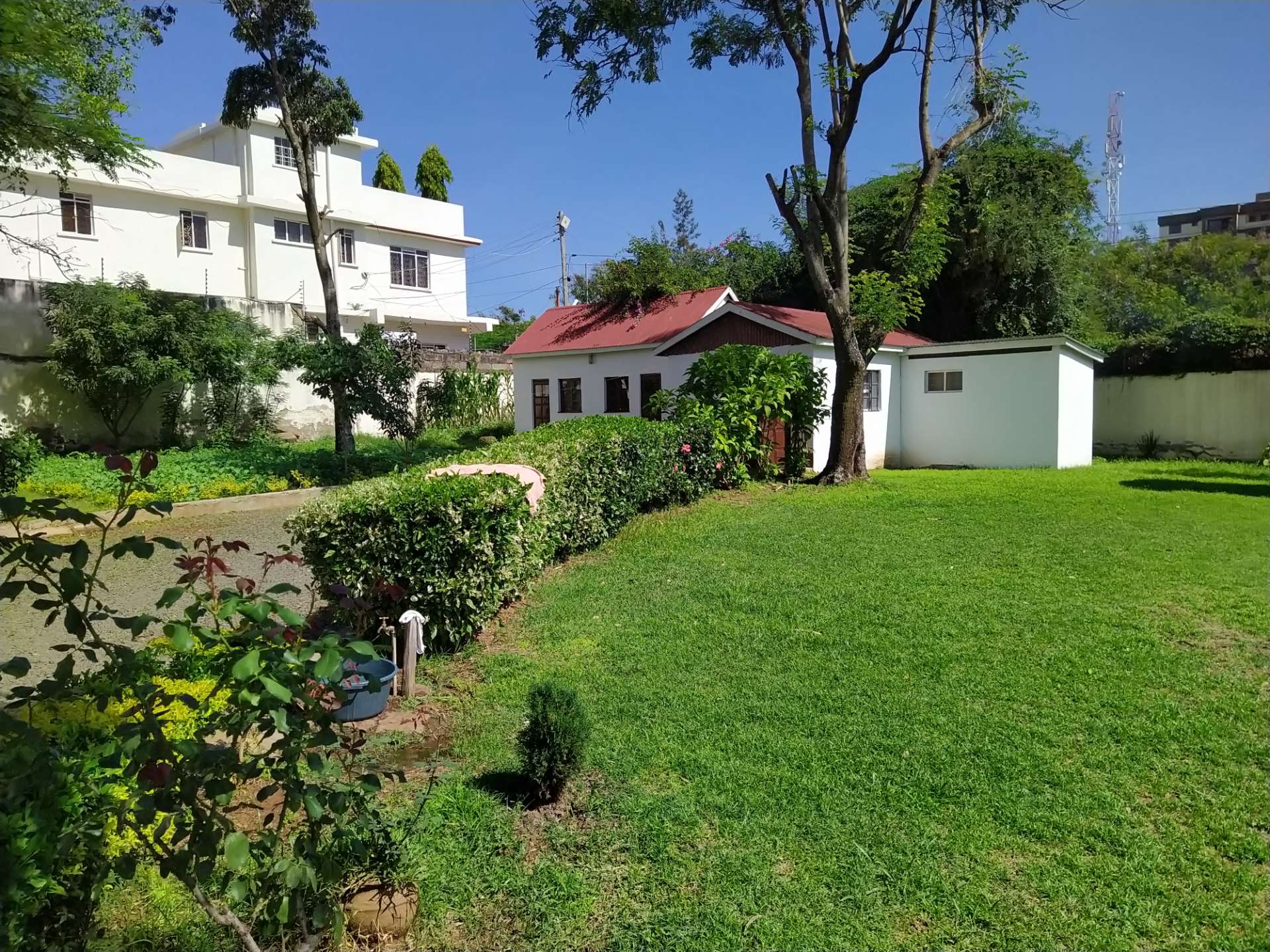 GTen's Gardens, photo 3 of 3