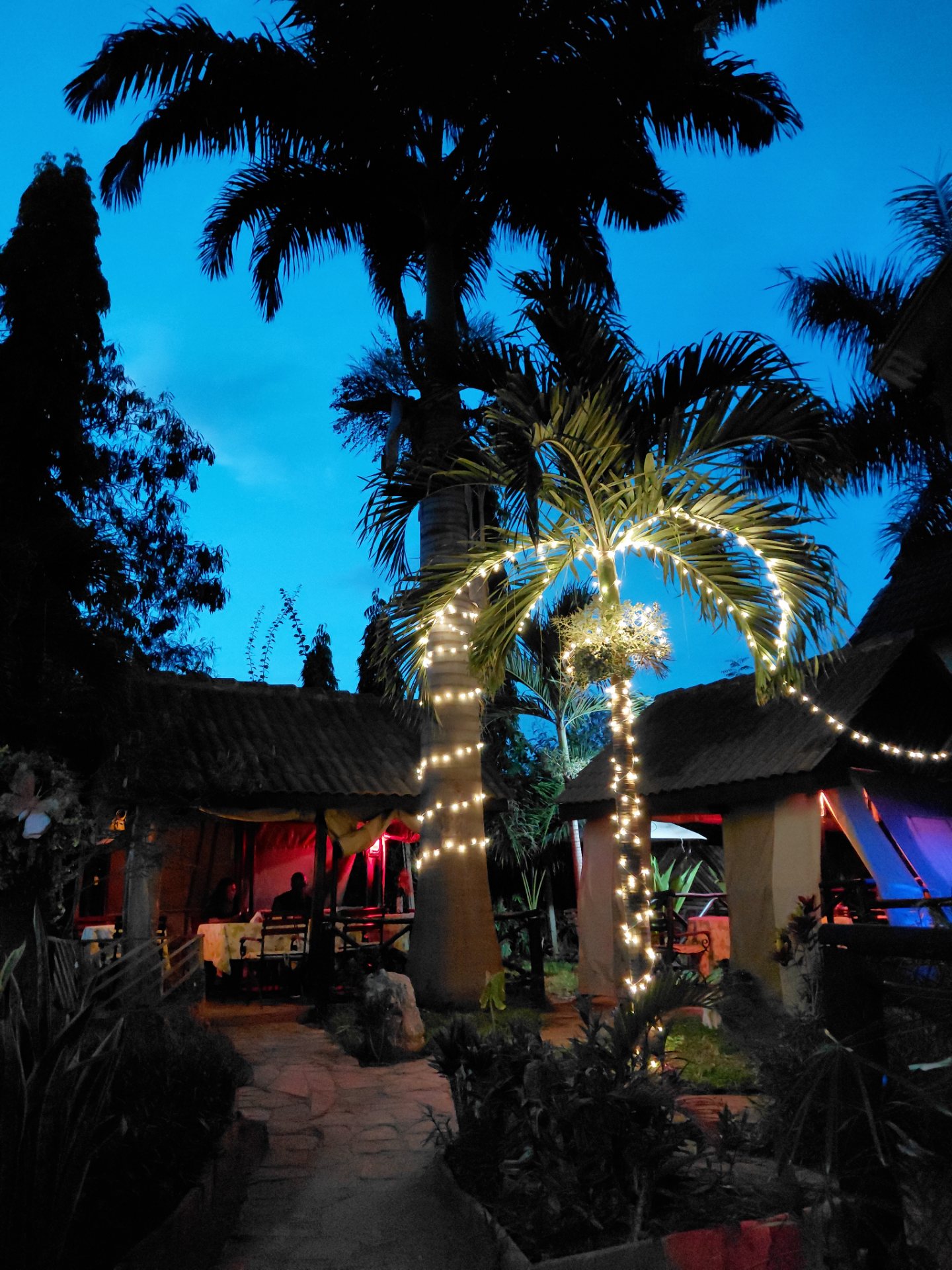 Afrika Lodges, photo 2 of 4