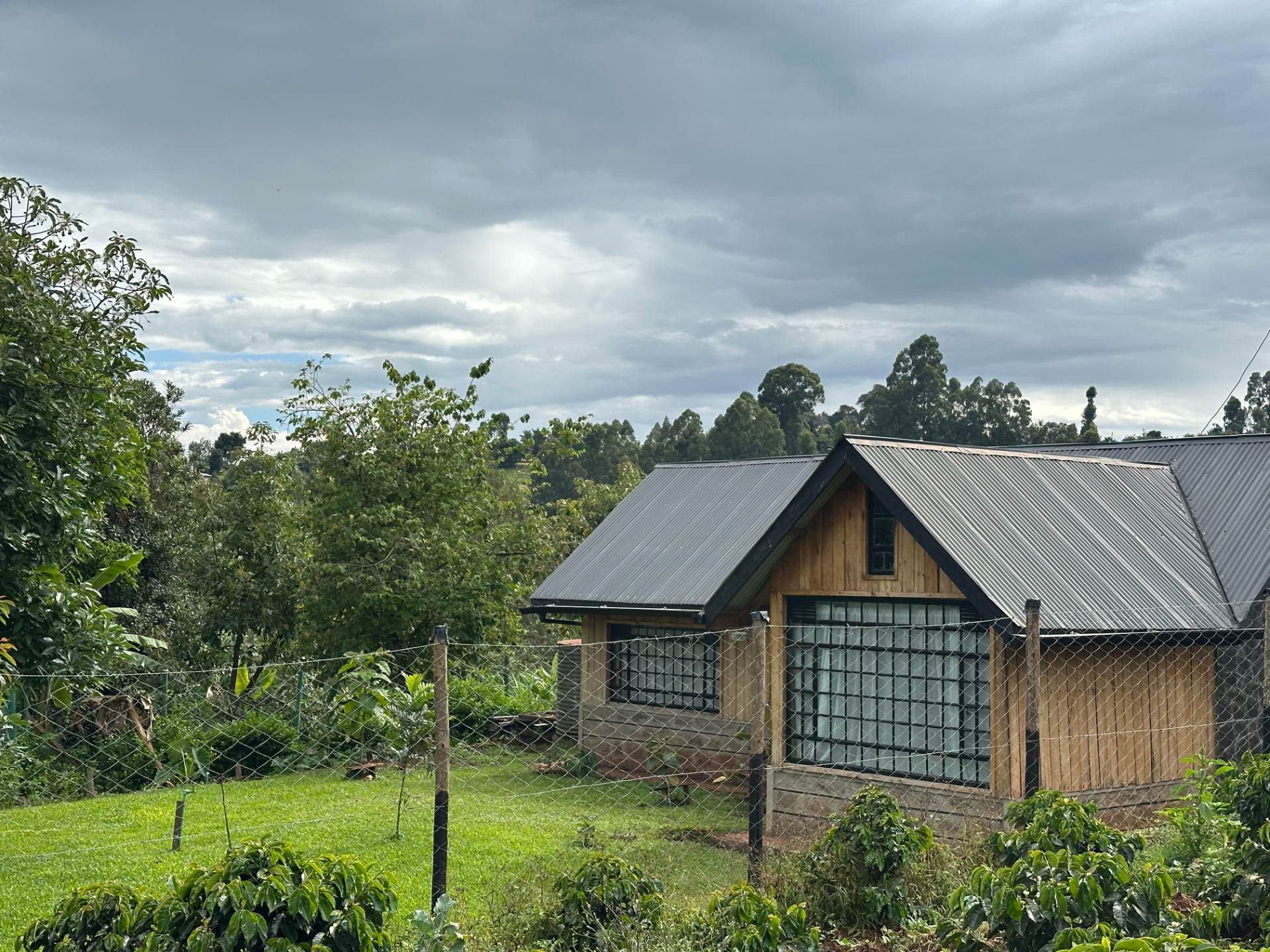 The T Cottage, photo 4 of 12